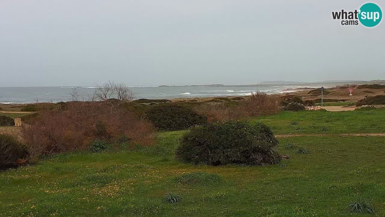 Mari Ermi beach | Is Arutas – Oristano