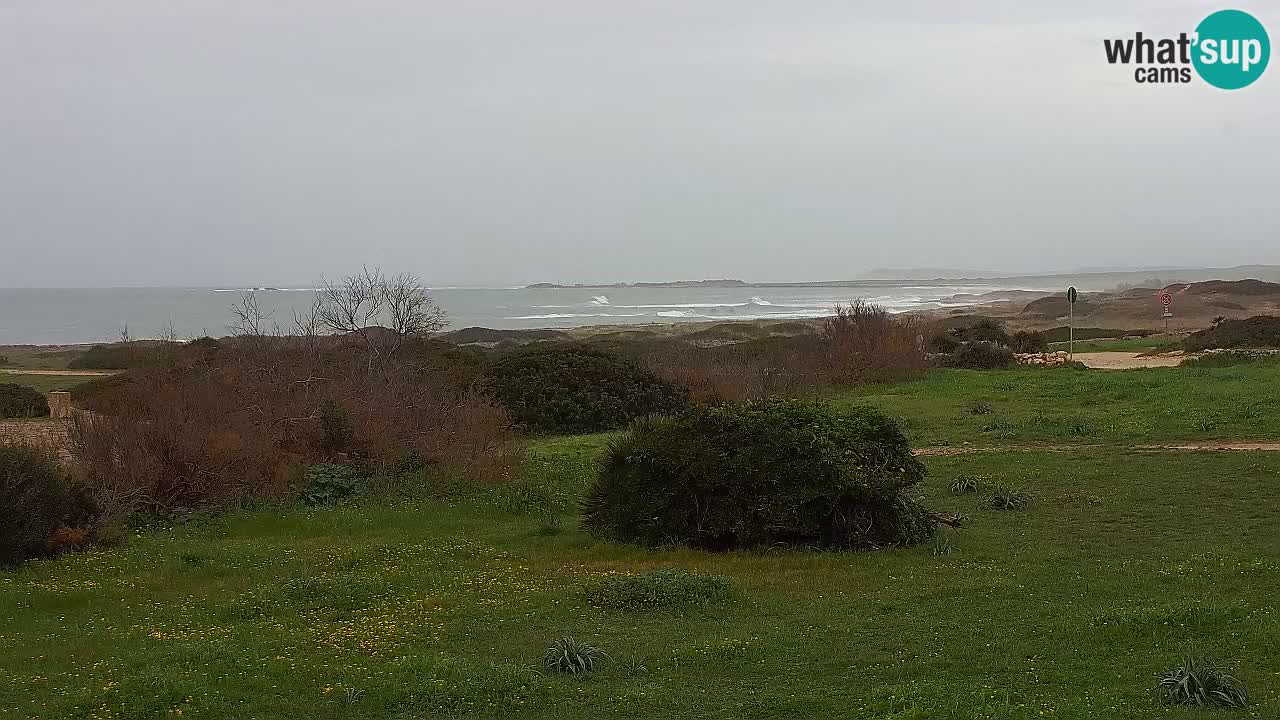 Plaža Mari Ermi | Is Arutas – Oristano