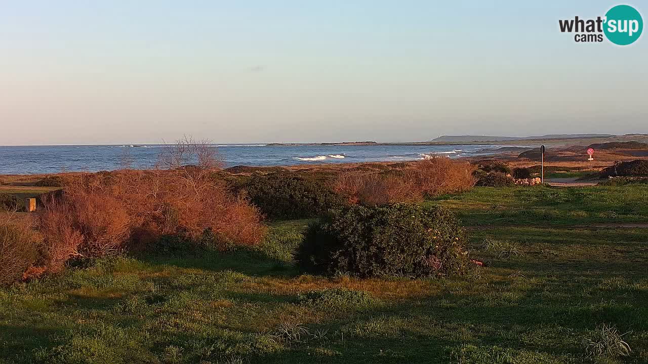 Plaža Mari Ermi | Is Arutas – Oristano