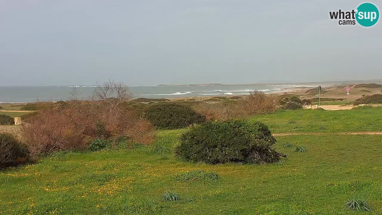 Mari Ermi Strand | Is Arutas – Oristano