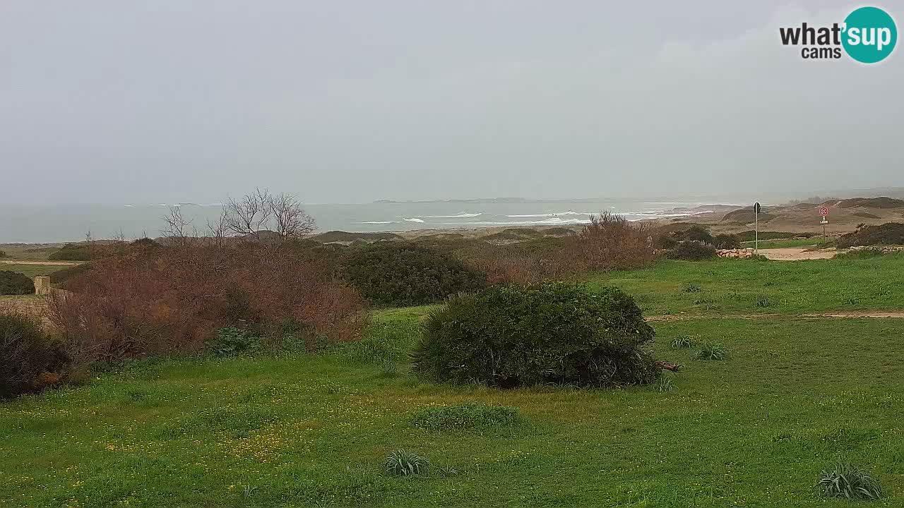 Mari Ermi beach | Is Arutas – Oristano