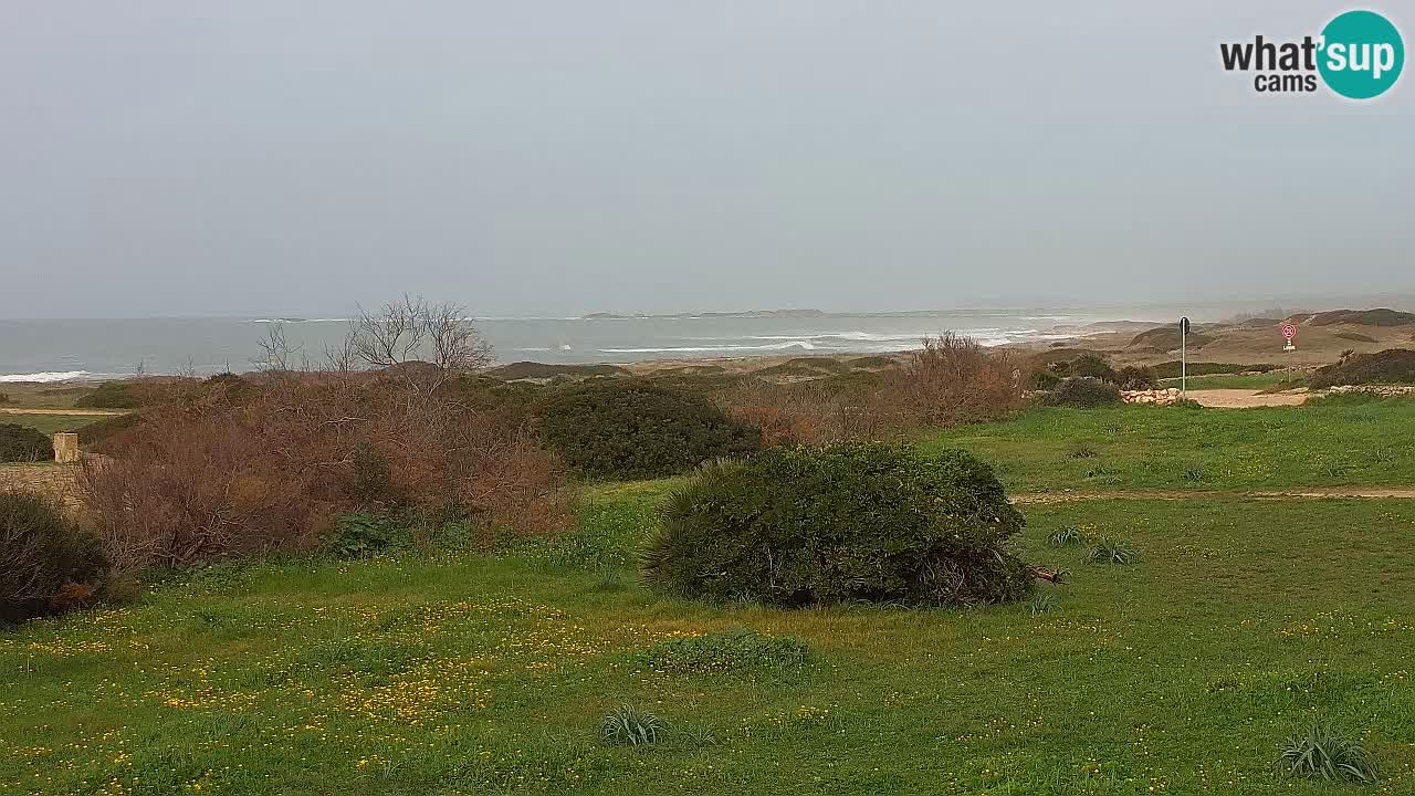 Spiaggia Mari Ermi | Is Arutas – Oristano