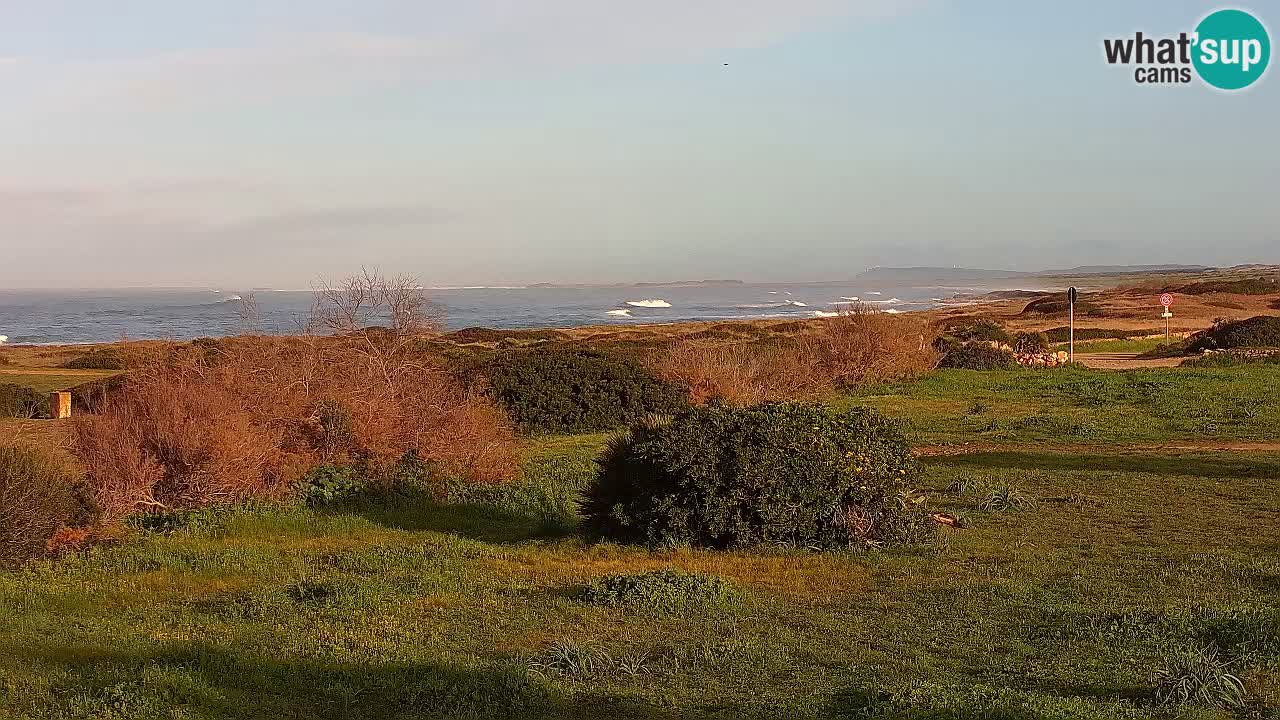 Plage Mari Ermi | Is Arutas – Oristano