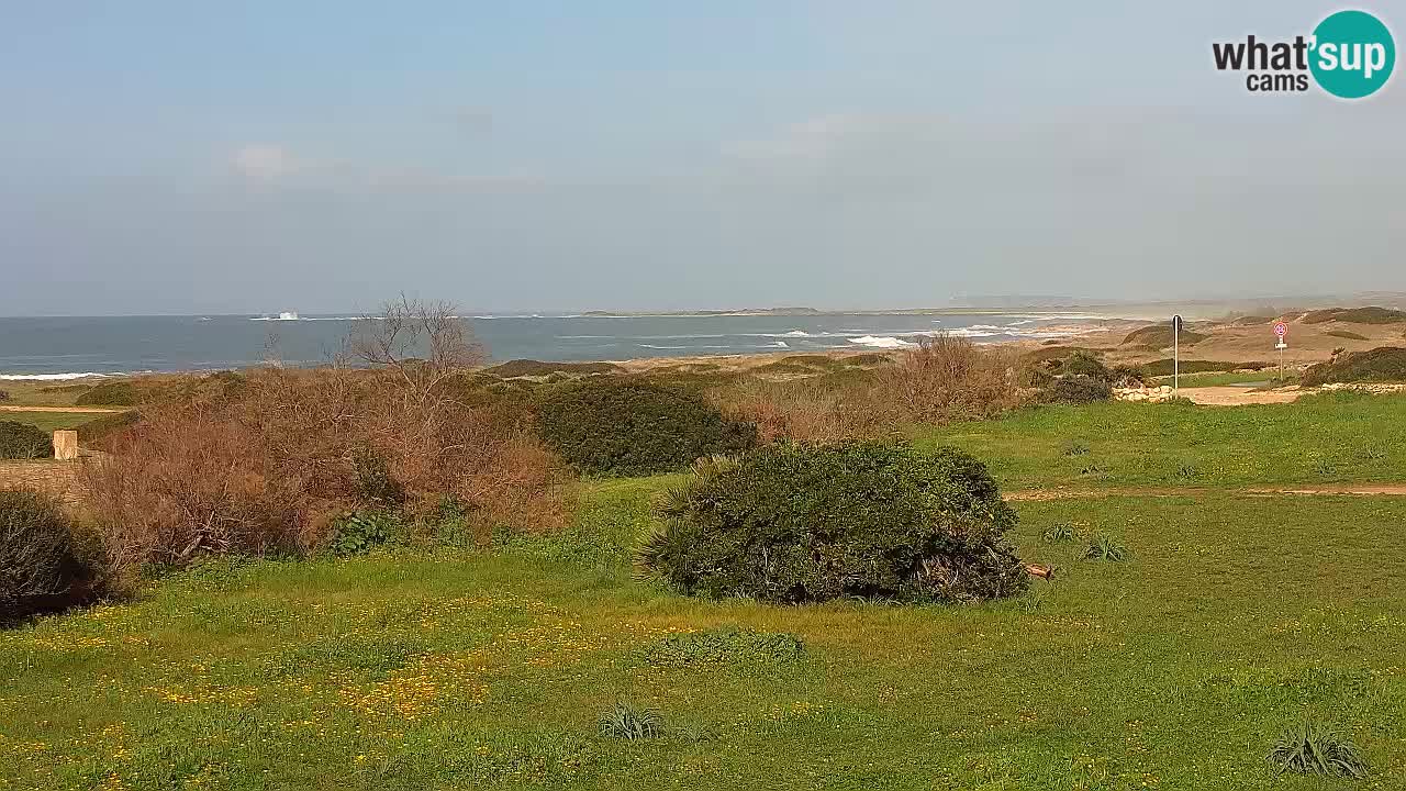 Plage Mari Ermi | Is Arutas – Oristano