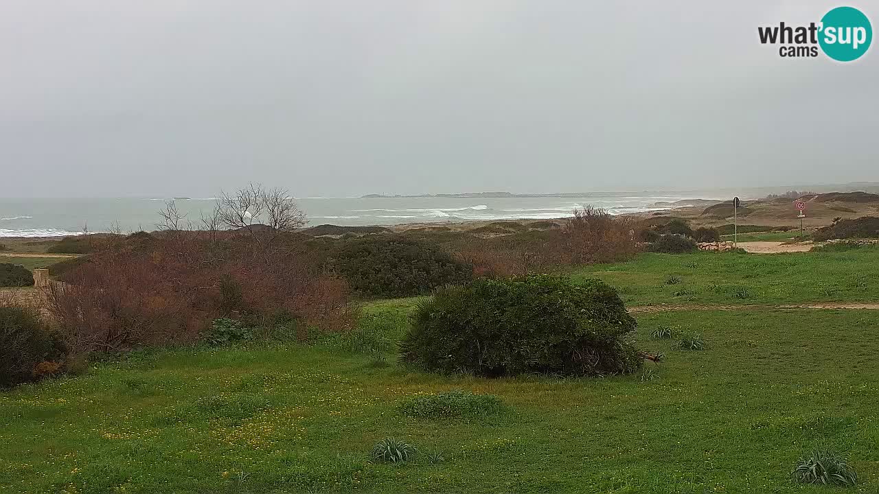 Mari Ermi beach | Is Arutas – Oristano