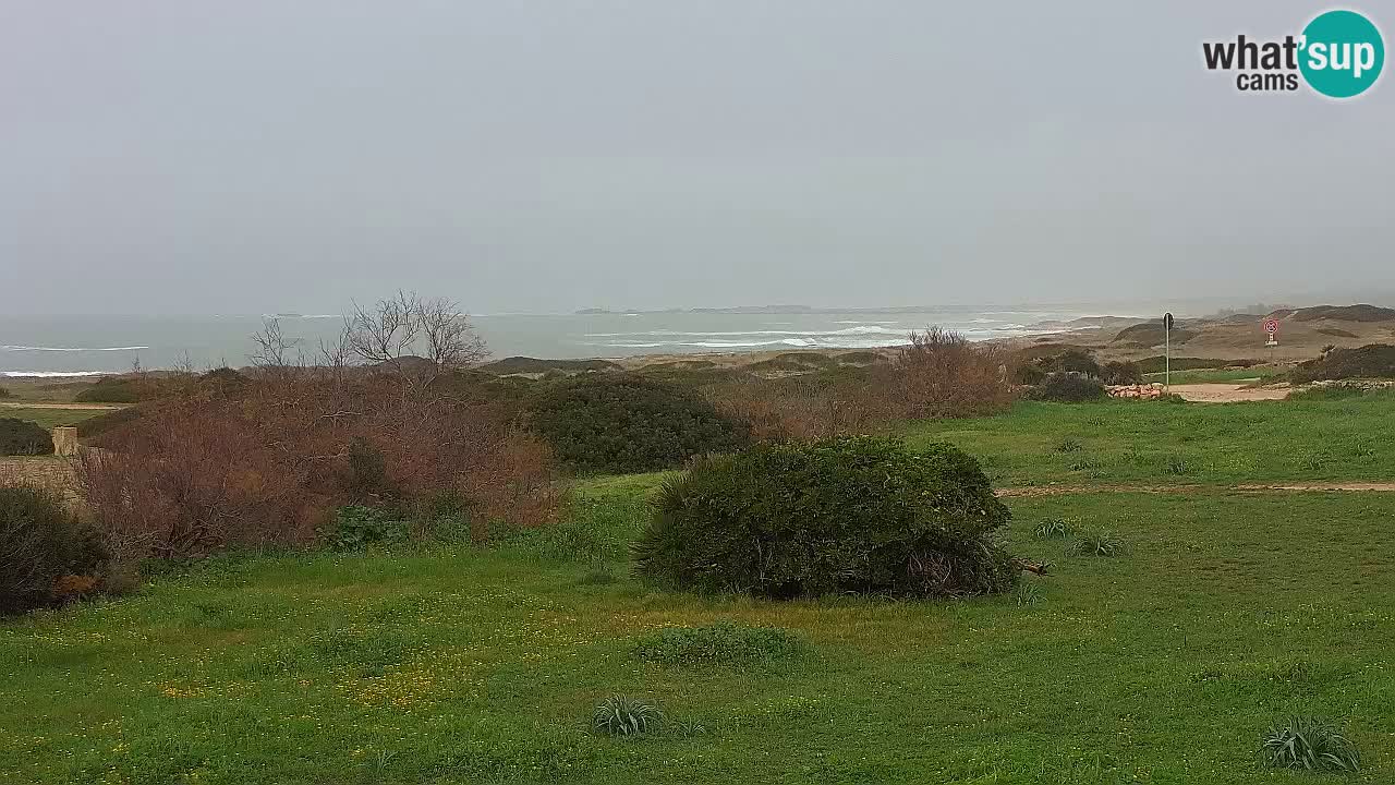 Plage Mari Ermi | Is Arutas – Oristano