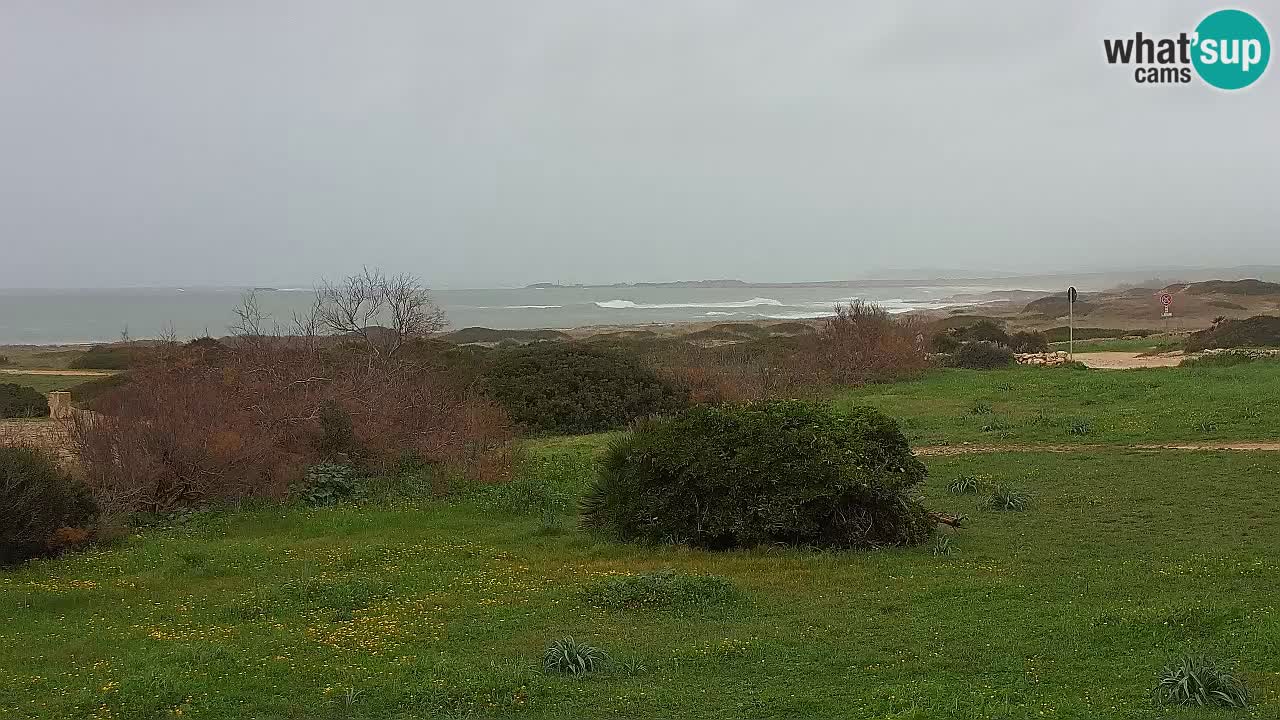 Plage Mari Ermi | Is Arutas – Oristano