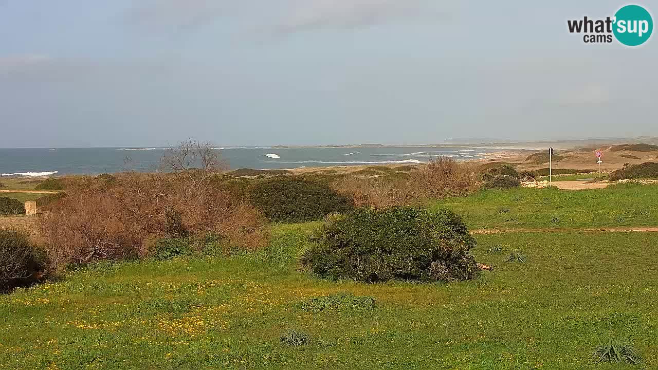 Mari Ermi Strand | Is Arutas – Oristano