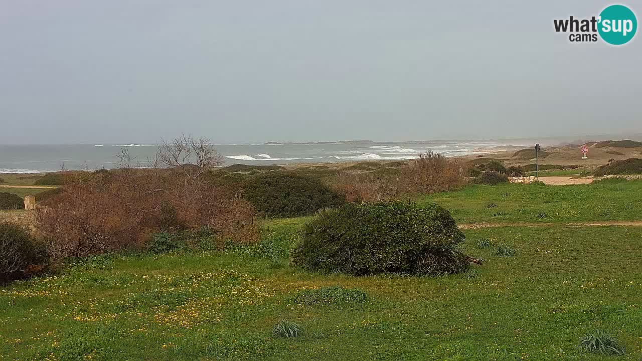 Mari Ermi beach | Is Arutas – Oristano