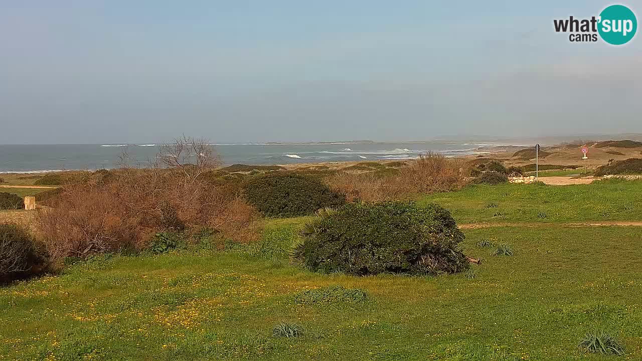 Mari Ermi Strand | Is Arutas – Oristano