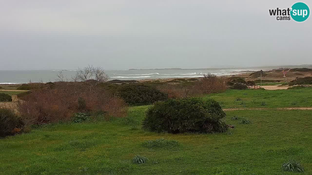 Plaža Mari Ermi | Is Arutas – Oristano