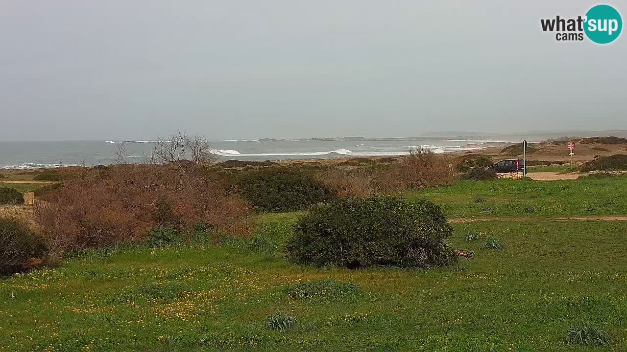 Spiaggia Mari Ermi | Is Arutas – Oristano