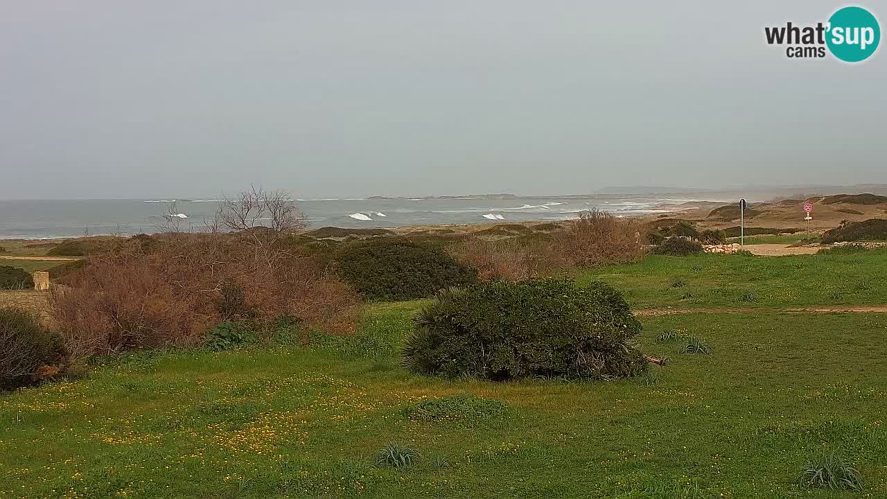 Plaža Mari Ermi | Is Arutas – Oristano