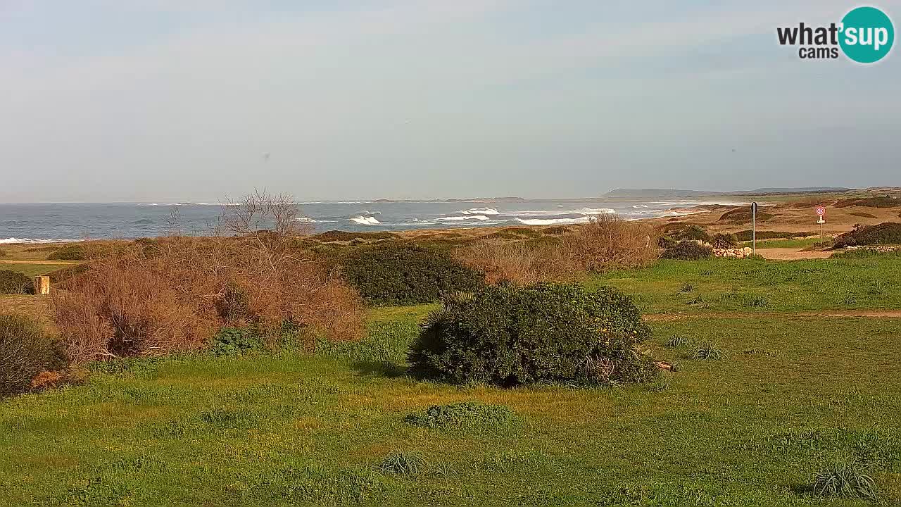 Mari Ermi Strand | Is Arutas – Oristano