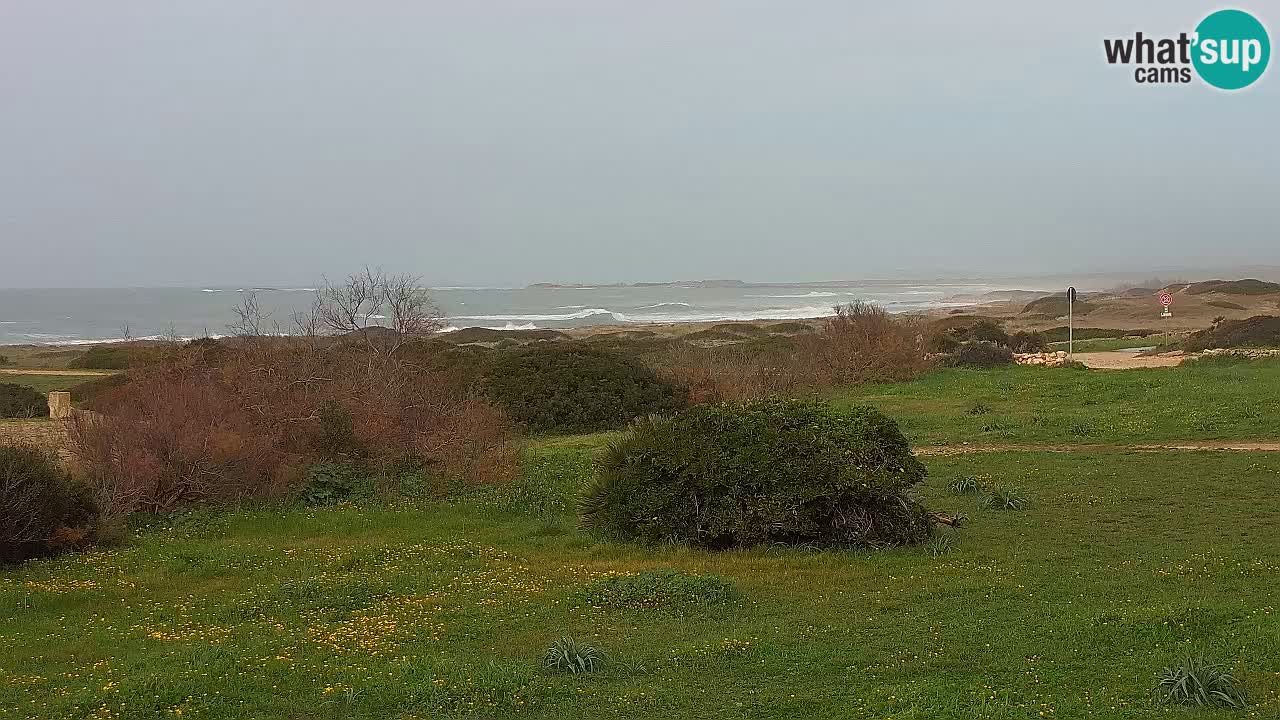 Mari Ermi beach | Is Arutas – Oristano