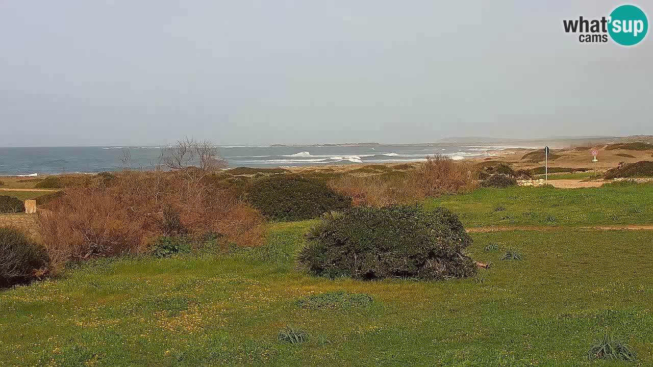 Playa Mari Ermi | Is Arutas – Oristano