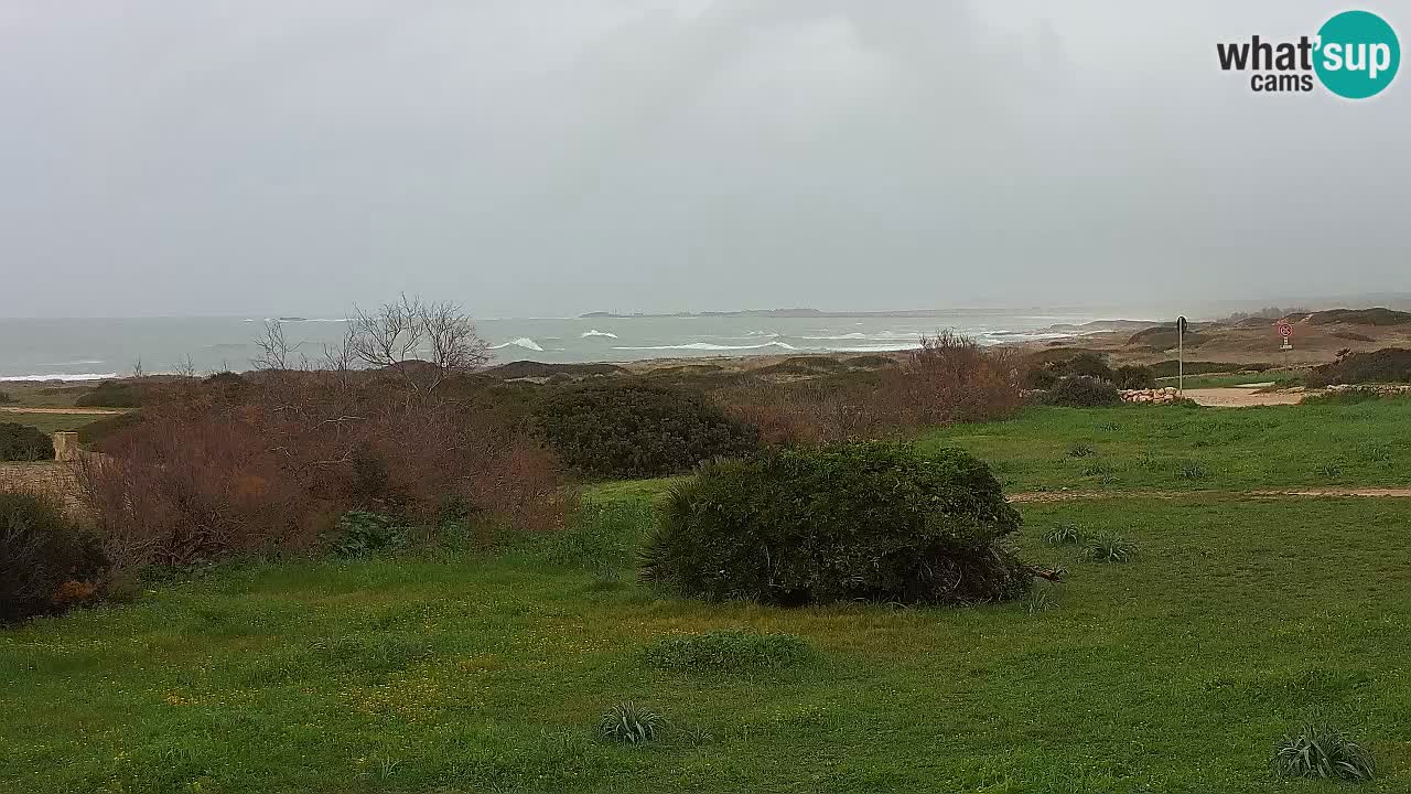 Mari Ermi Strand | Is Arutas – Oristano