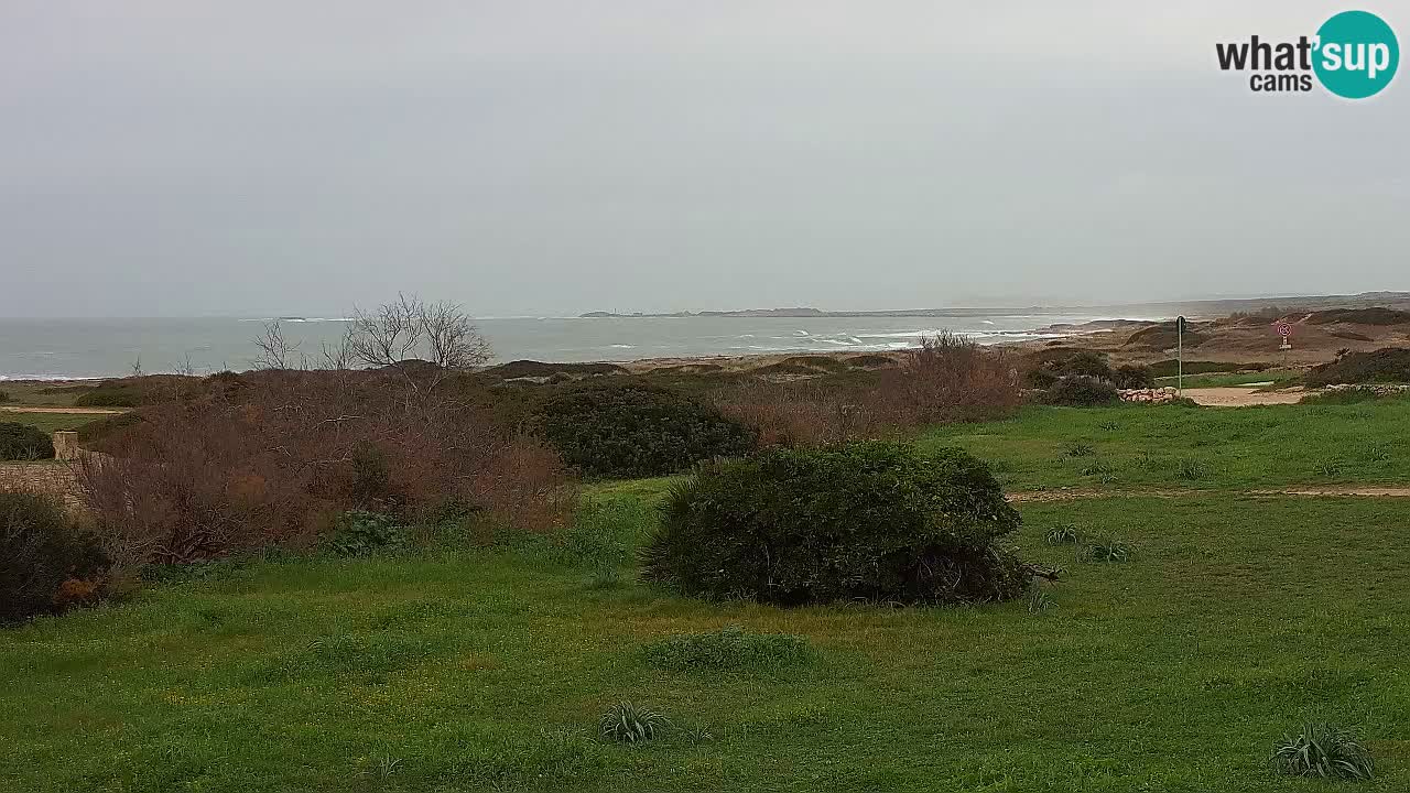 Plaža Mari Ermi | Is Arutas – Oristano