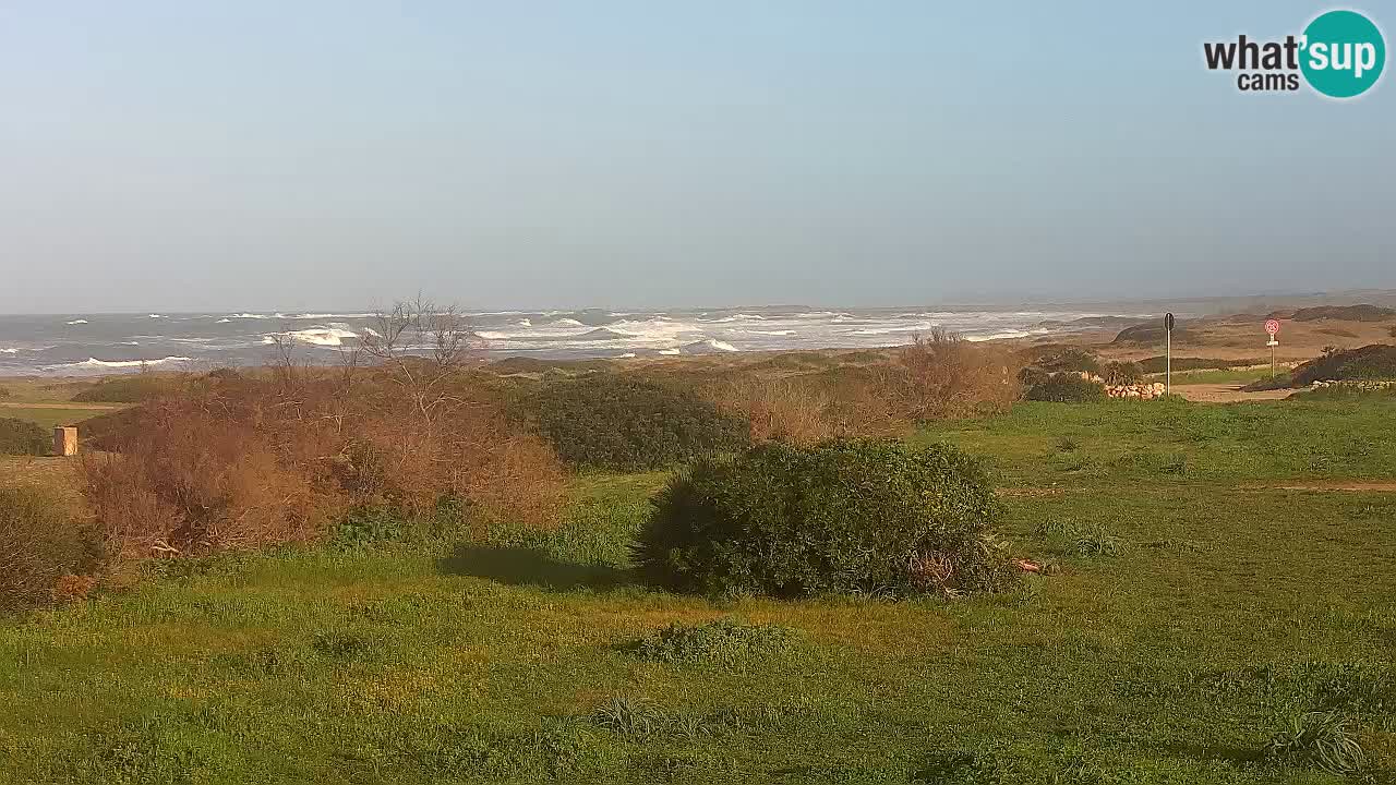 Plaža Mari Ermi | Is Arutas – Oristano