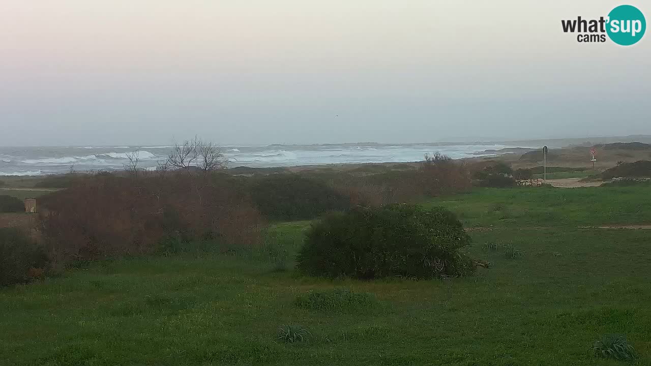 Plaža Mari Ermi | Is Arutas – Oristano