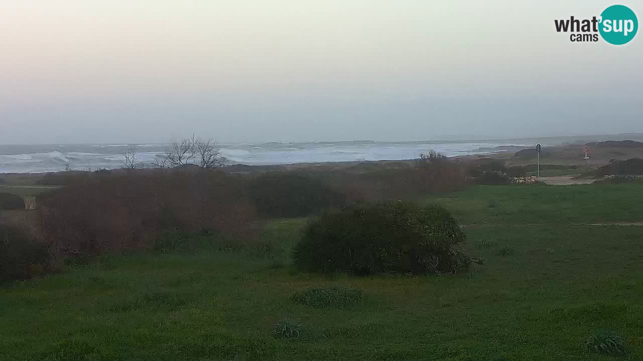 Mari Ermi Strand | Is Arutas – Oristano