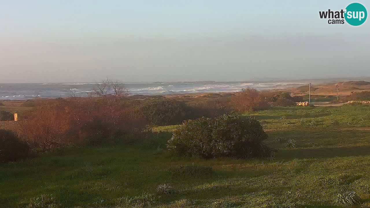 Spiaggia Mari Ermi | Is Arutas – Oristano