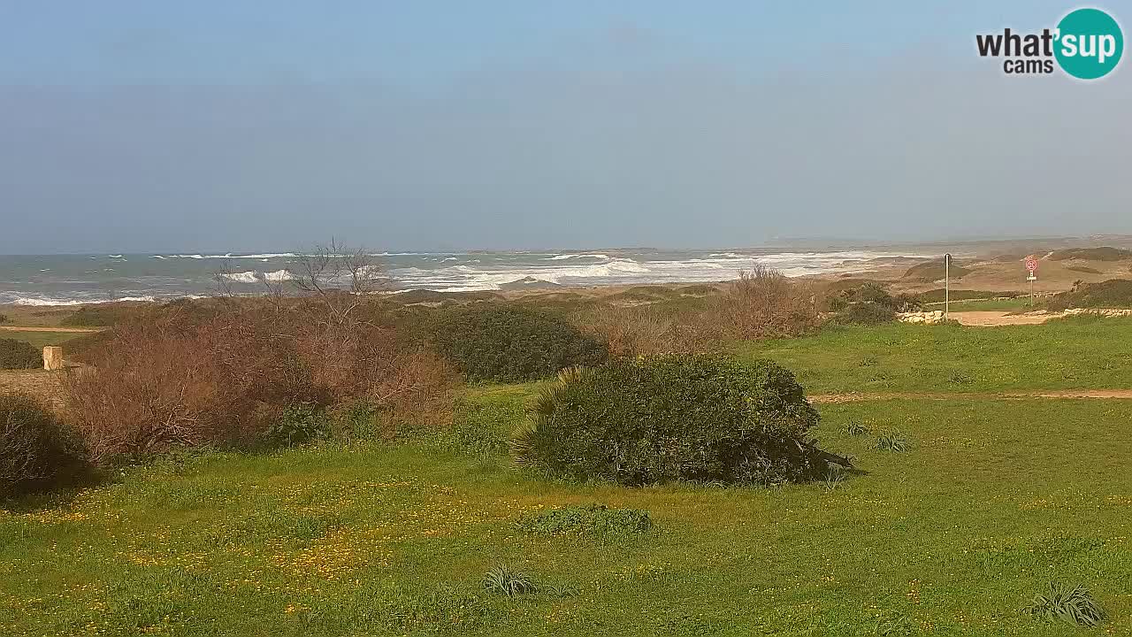 Plaža Mari Ermi | Is Arutas – Oristano