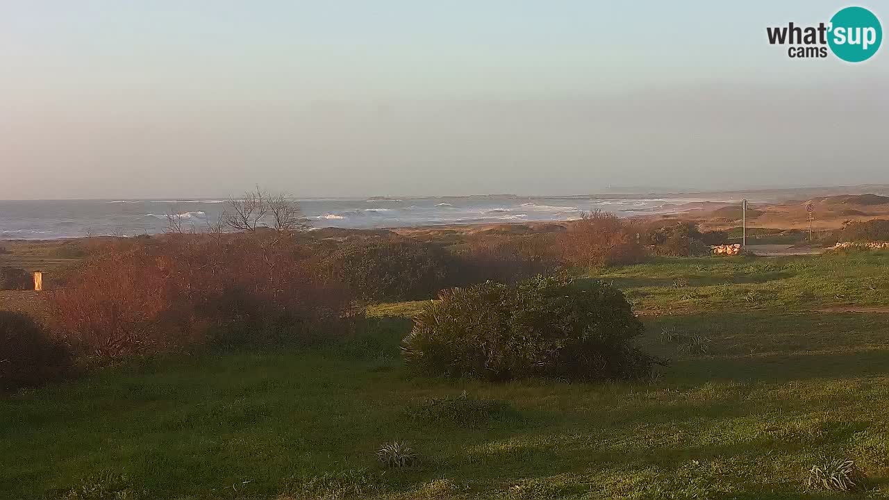 Playa Mari Ermi | Is Arutas – Oristano