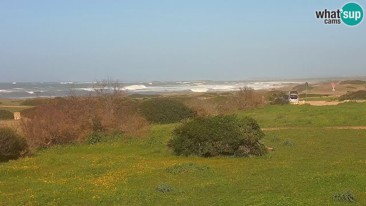Playa Mari Ermi | Is Arutas – Oristano