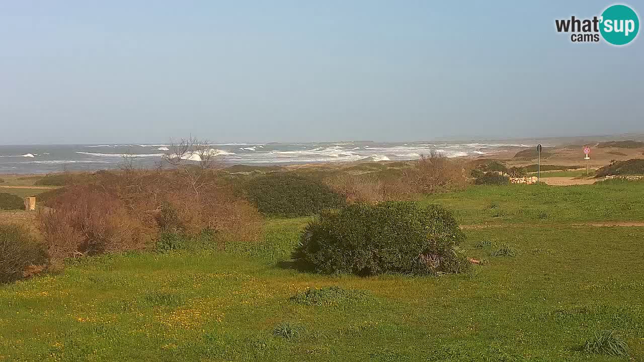 Plage Mari Ermi | Is Arutas – Oristano