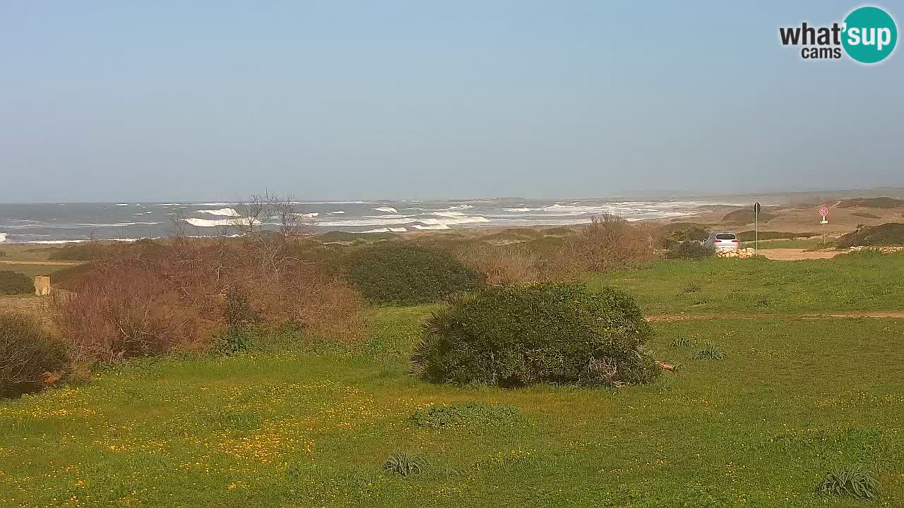 Mari Ermi Strand | Is Arutas – Oristano