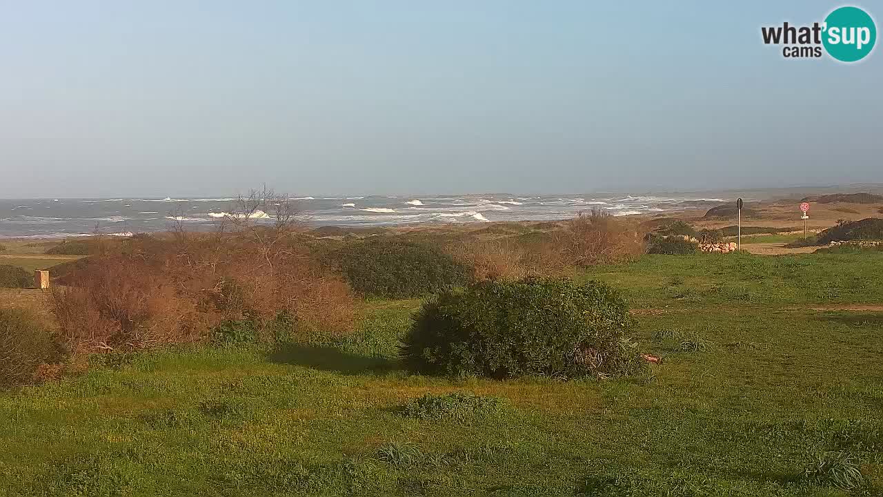 Playa Mari Ermi | Is Arutas – Oristano