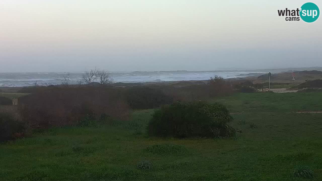 Plage Mari Ermi | Is Arutas – Oristano