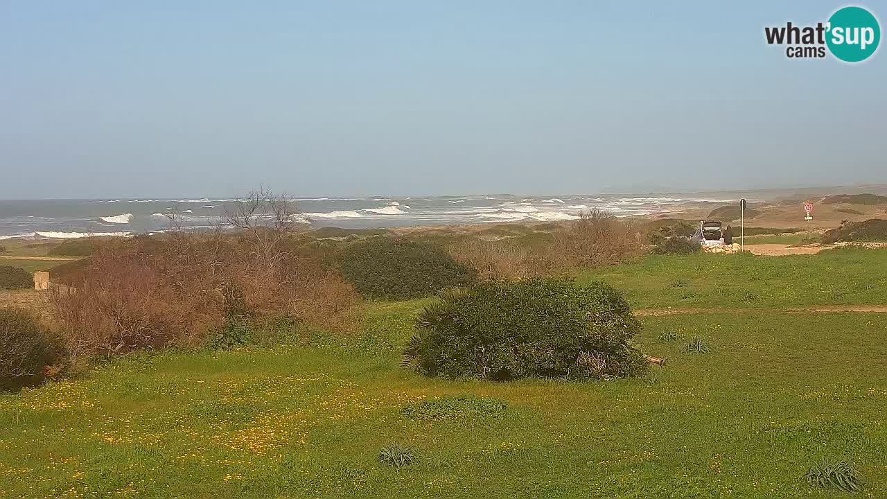 Mari Ermi Strand | Is Arutas – Oristano