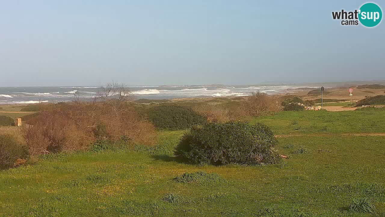 Spiaggia Mari Ermi | Is Arutas – Oristano