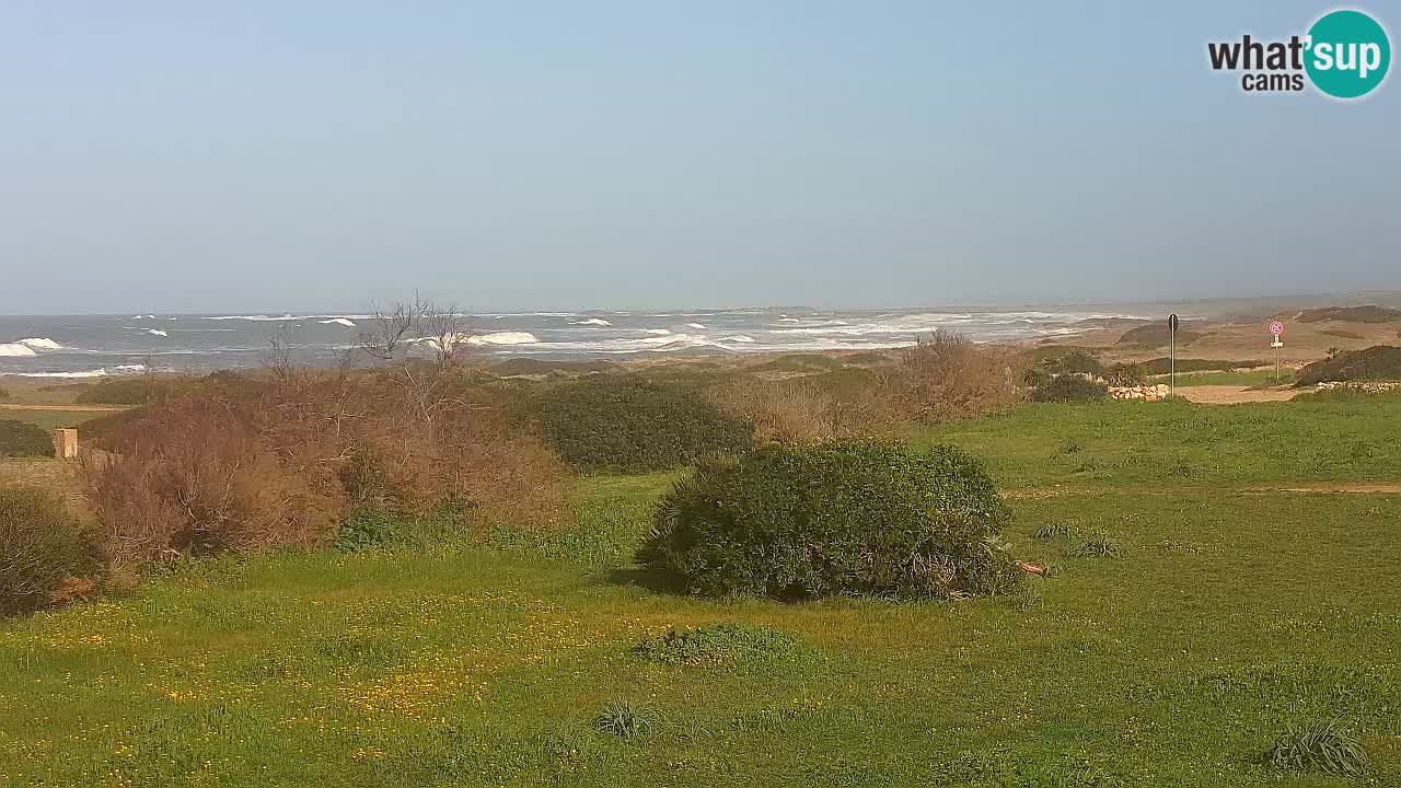 Plaža Mari Ermi | Is Arutas – Oristano