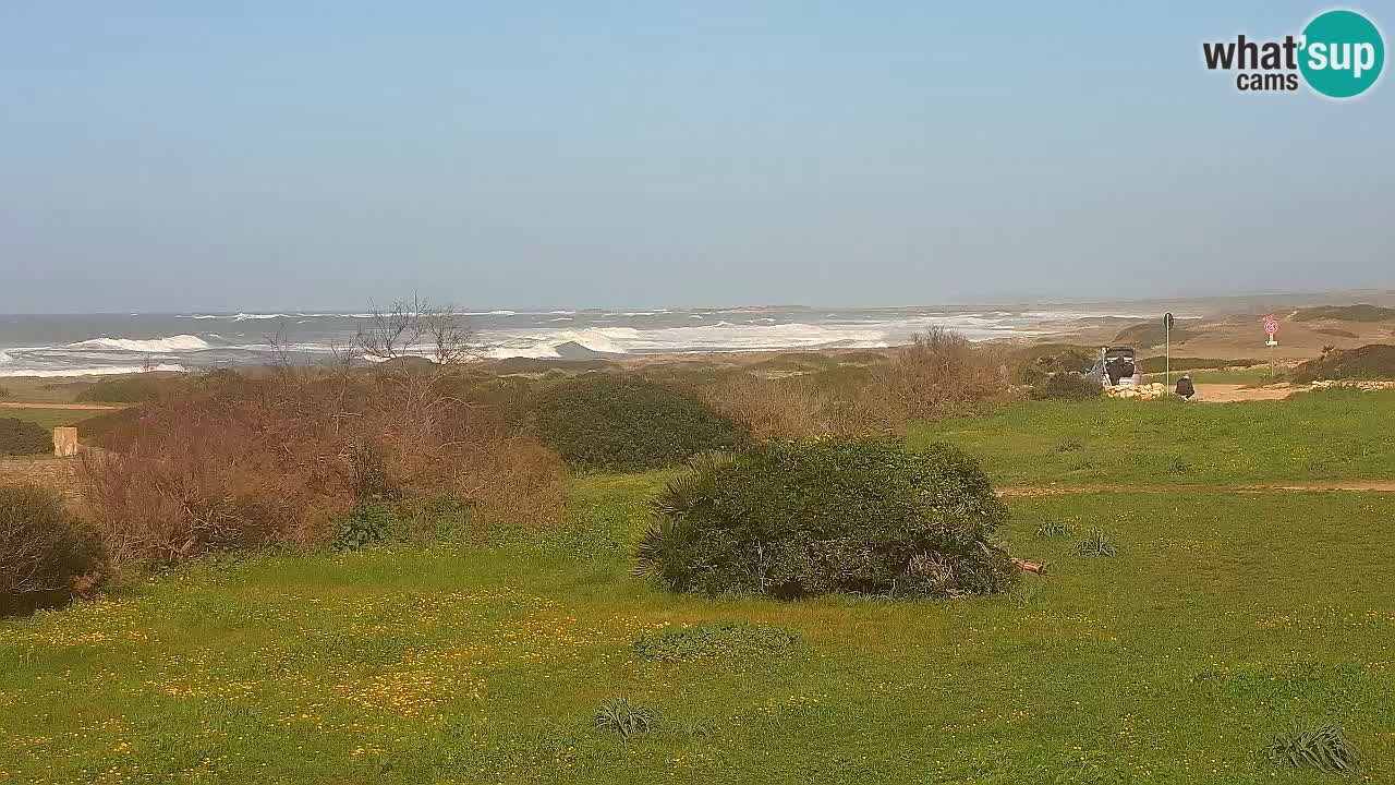 Mari Ermi Strand | Is Arutas – Oristano