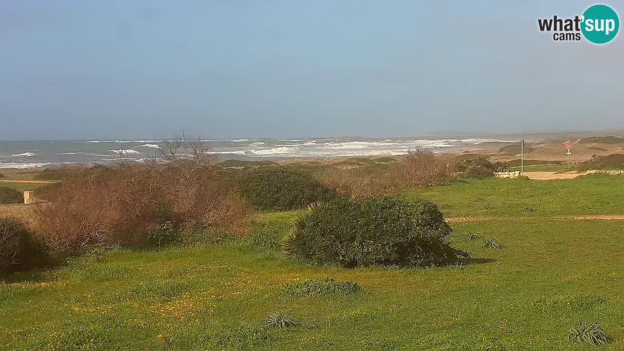 Spiaggia Mari Ermi | Is Arutas – Oristano