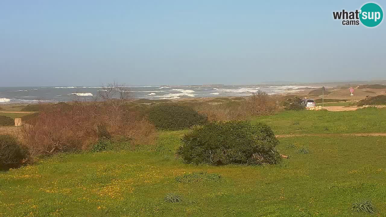 Plage Mari Ermi | Is Arutas – Oristano