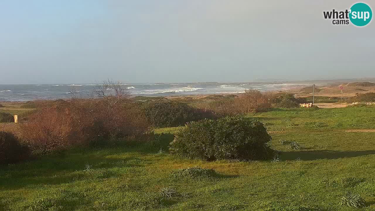 Spiaggia Mari Ermi | Is Arutas – Oristano