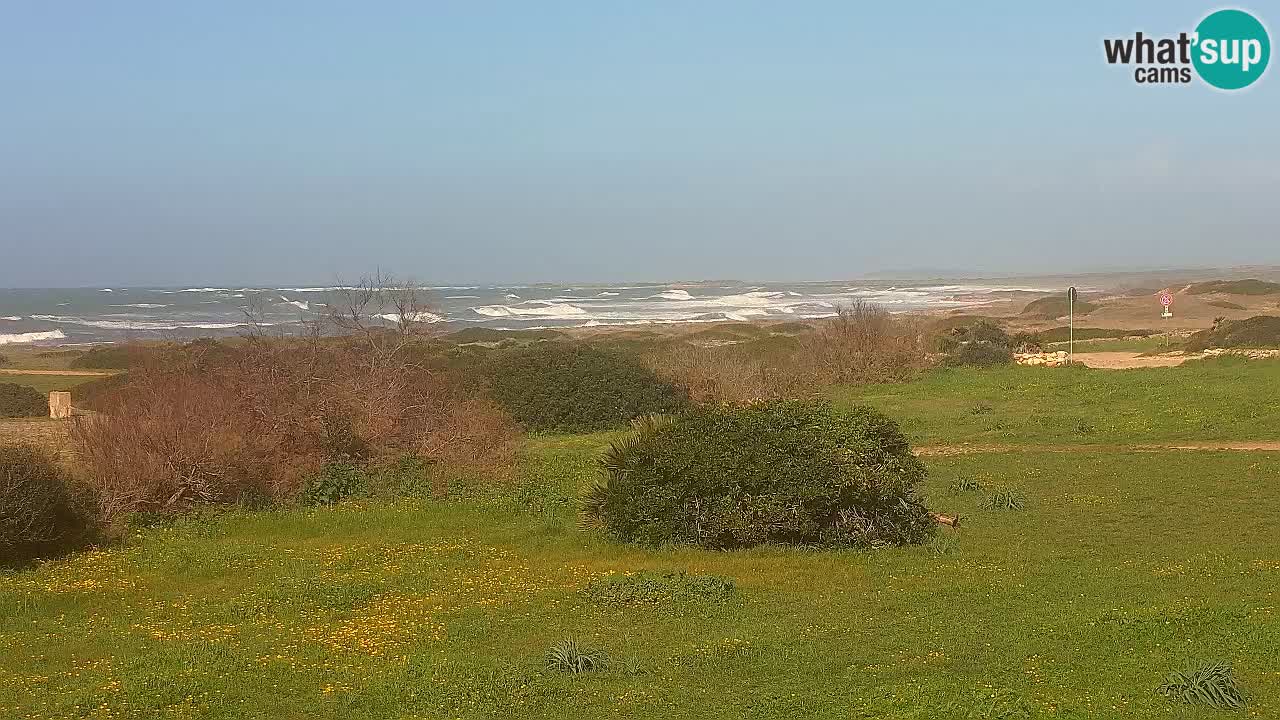 Spiaggia Mari Ermi | Is Arutas – Oristano