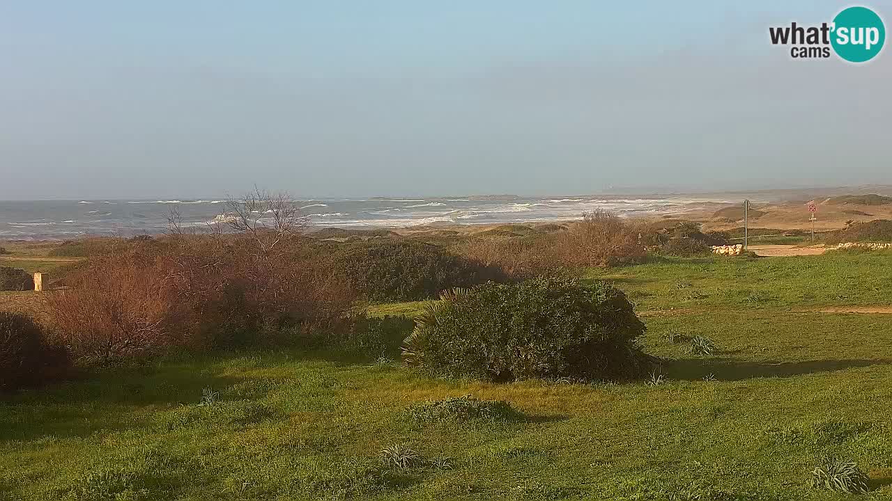 Spiaggia Mari Ermi | Is Arutas – Oristano