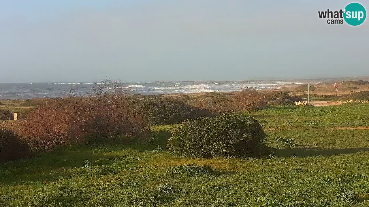 Plaža Mari Ermi | Is Arutas – Oristano