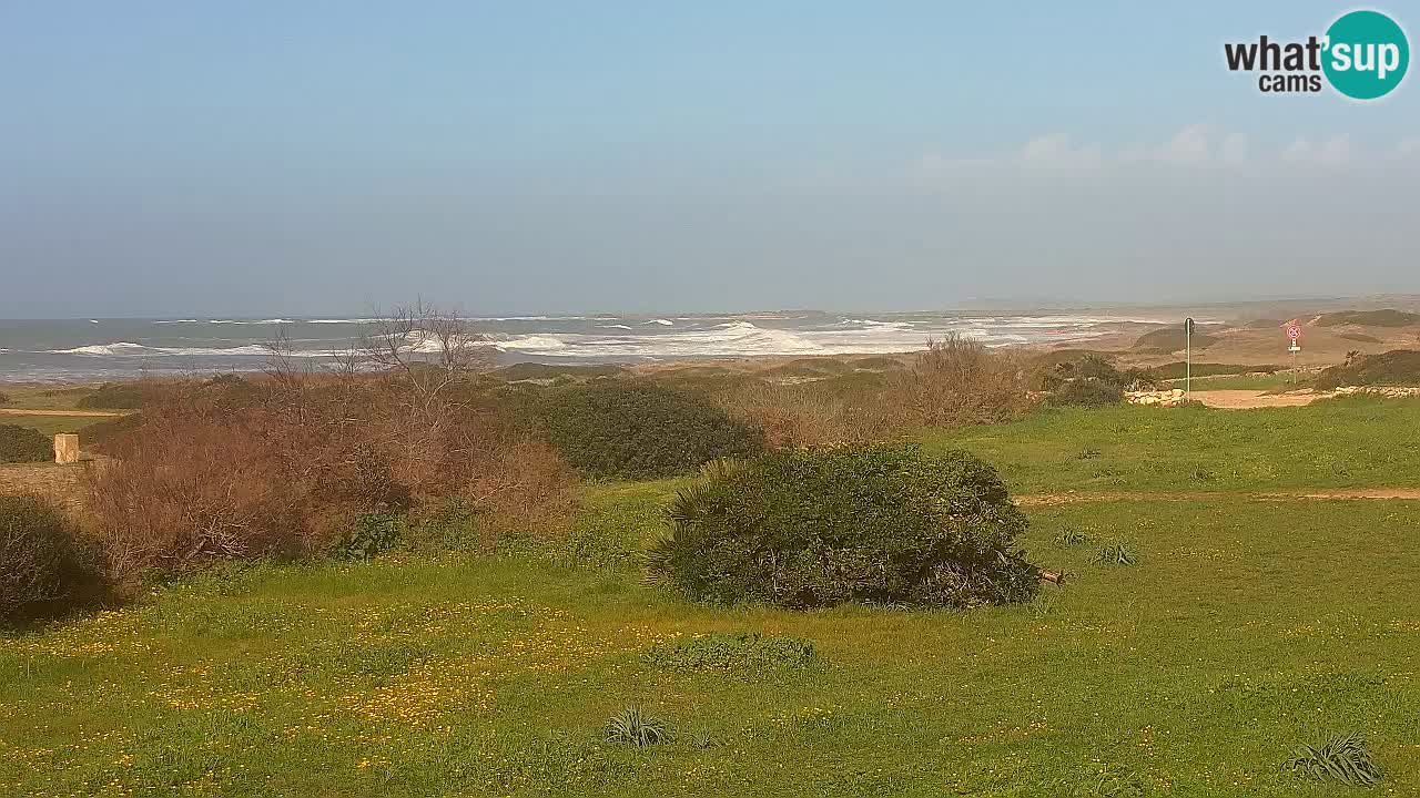 Spiaggia Mari Ermi | Is Arutas – Oristano