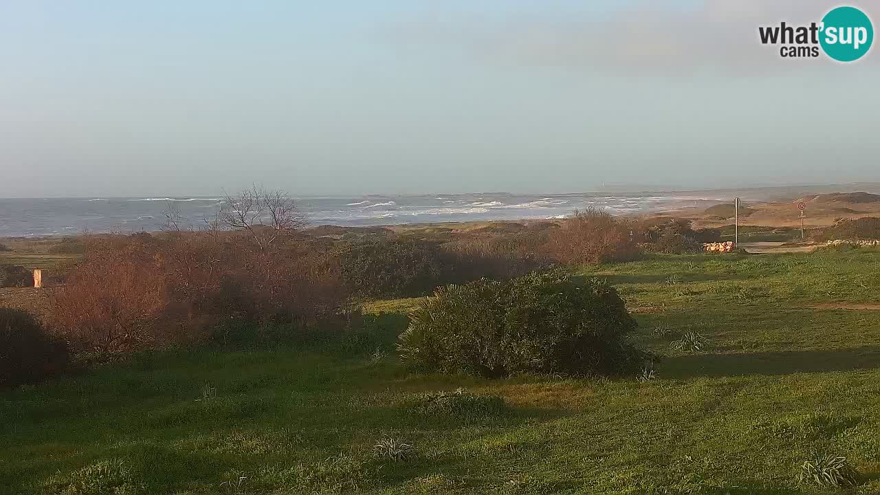 Playa Mari Ermi | Is Arutas – Oristano