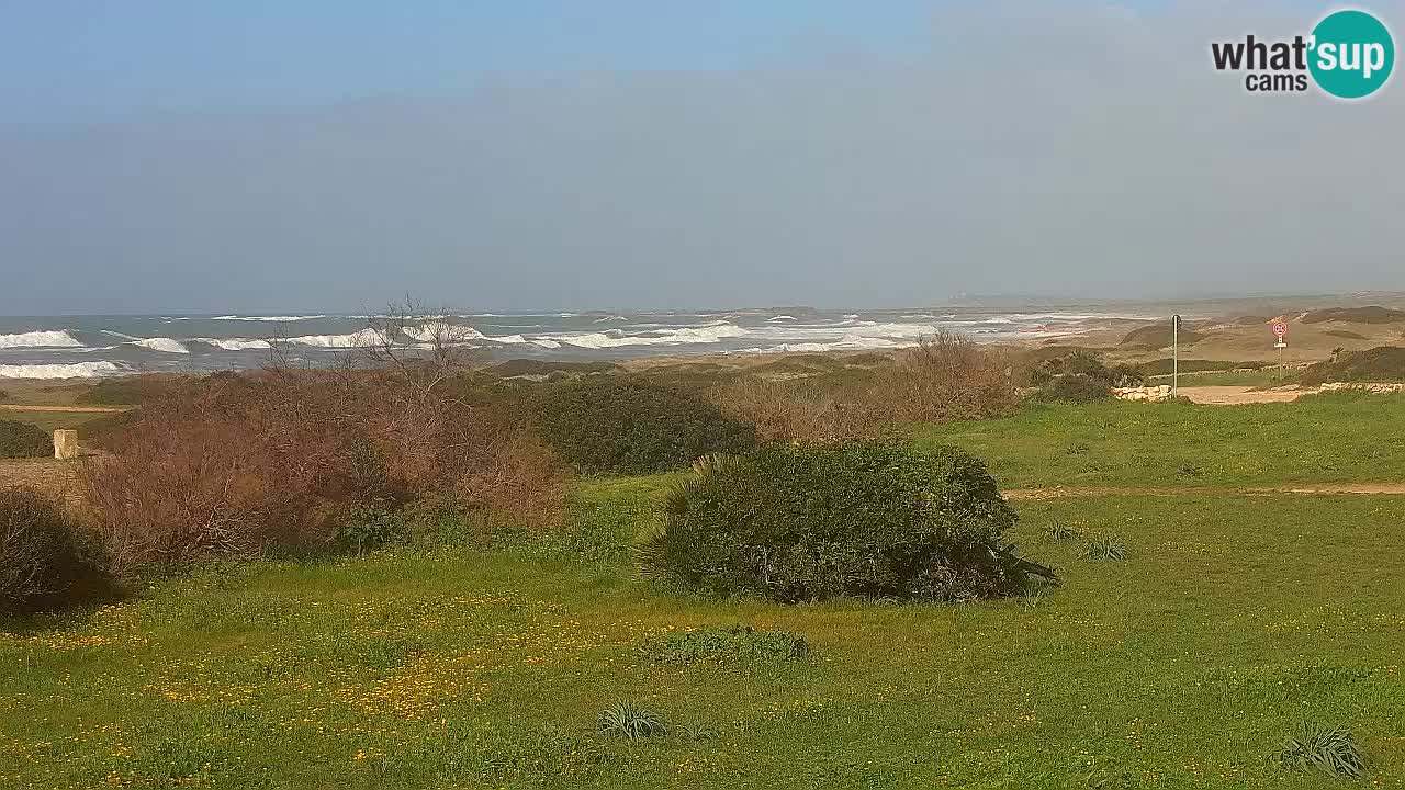 Playa Mari Ermi | Is Arutas – Oristano