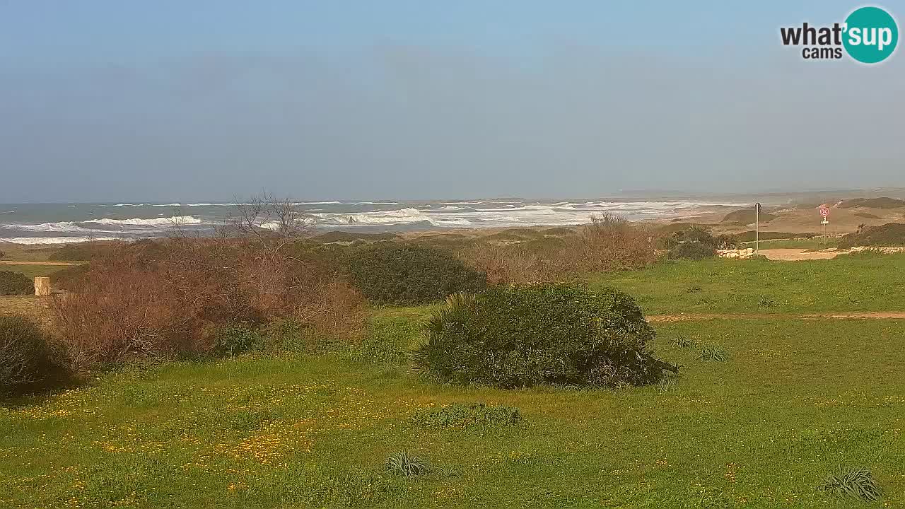 Mari Ermi beach | Is Arutas – Oristano