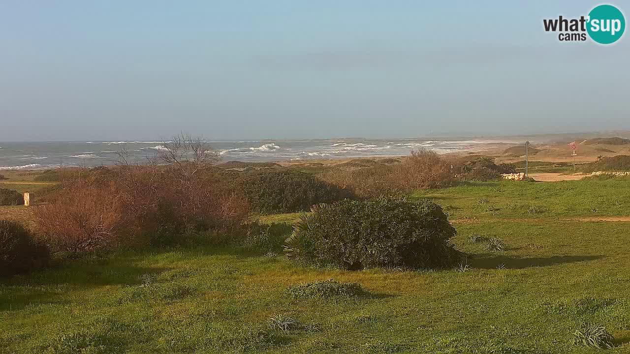 Plage Mari Ermi | Is Arutas – Oristano