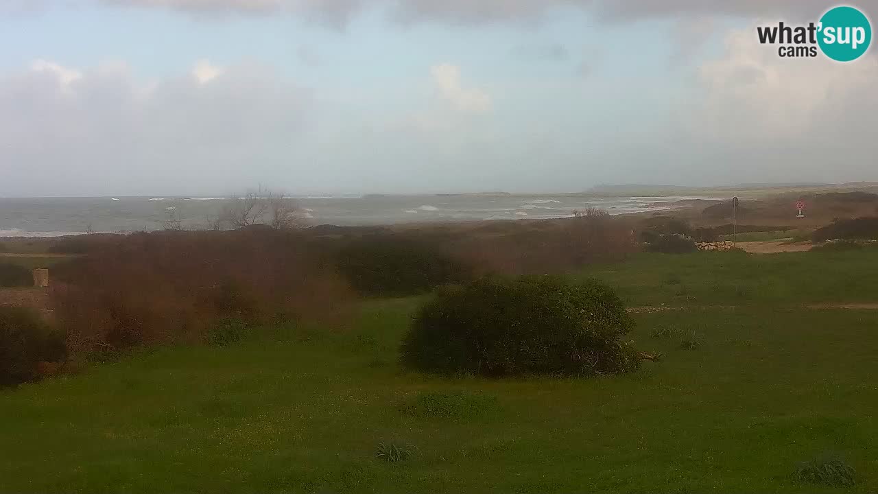 Plage Mari Ermi | Is Arutas – Oristano