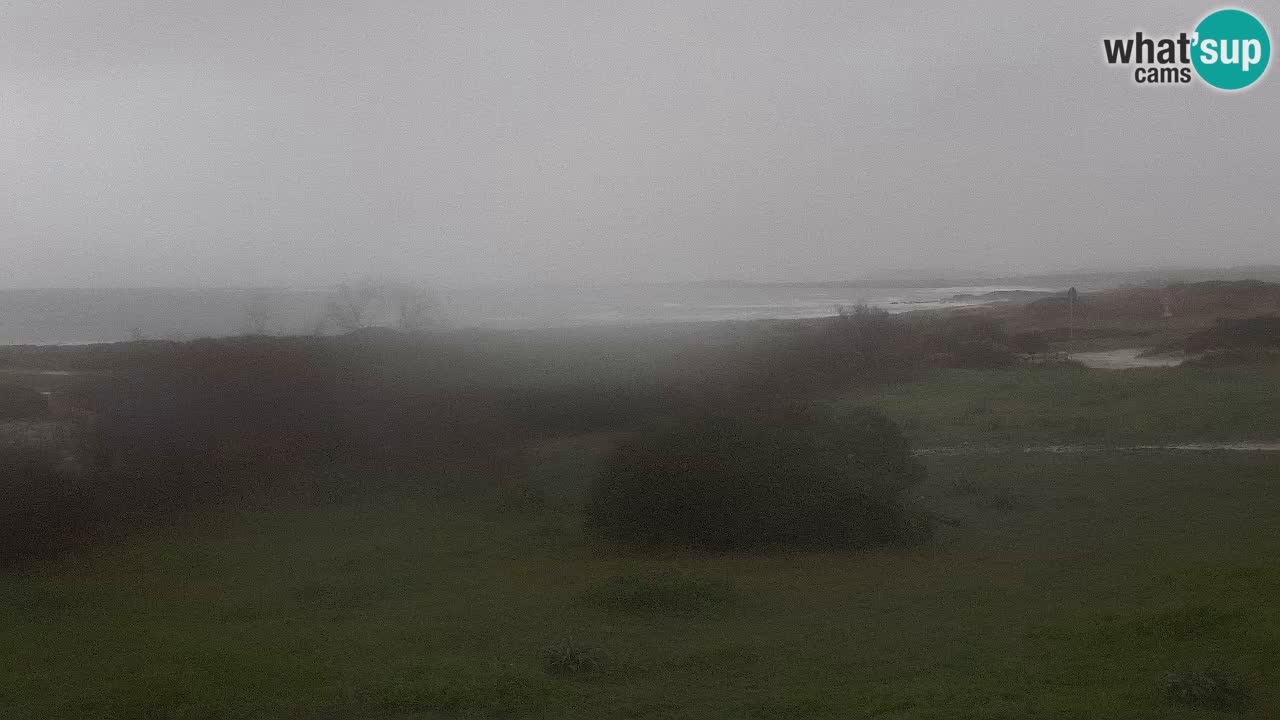 Mari Ermi Strand | Is Arutas – Oristano